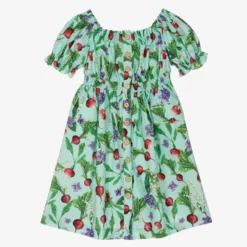 Dolce & Gabbana Teen Girls Blue Farmer Print Dress