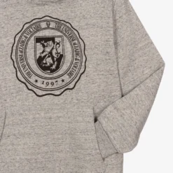 Zadig & Voltaire Zadig&Voltaire Teen Grey Logo Hooded Dress 7 Zadig & Voltaire Zadig&Voltaire Teen Grey Logo Hooded Dress -Deals Mirth Garb Store zadig voltaire kids teen grey logo hooded dress 408614 c2f21f0591a3e8b908e45d2d10b2d3e92af82b4d